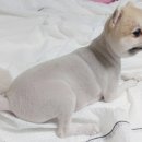 몽몽솔솔 이미지