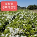 오성농원 이미지