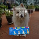 신보룡약국 네이버블로그