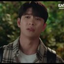 회다이