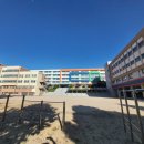 서울등촌초등학교 이미지