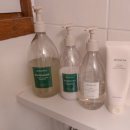 아담한가 이미지