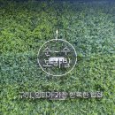 봉곡동218 이미지