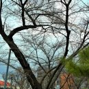 성모당(聖母堂) | 대구 대교구 성모당 - 스스로 엄숙해 지는 분위기의 천주교 신자들의 성지
