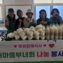새희망마을 이미지