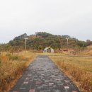 노루섬(장도)