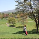 용천약수 이미지