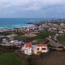 월정연가 이미지