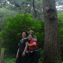 저지오름 이미지