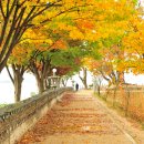 머리풍경 이미지