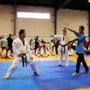 한라태권도1관 이미지
