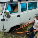 제천황기명태영월점 이미지