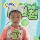 리라어린이집 이미지