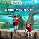 부천 플레이 아쿠아리움 아이와 실내 가볼만한곳