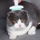 티티스마일 이미지
