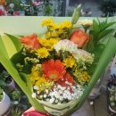 그린카클리닉 이미지