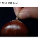 순간의순간