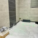 단양팔경펜션민박 | [ 가을 단양 여행 ] 애견동반 | 애견동반숙소 | 피앤피펜션 | 내돈내산 후기 | 구르미카페 | 애견동반카페