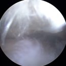 성삼연합의원 이미지