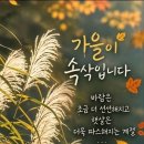 * 2026년 9월 19일 708회(오산ㆍ필봉산) 산행공지 이미지
