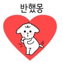 모멘트핏 이미지