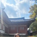 도평시장 이미지