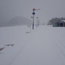 절터골2 이미지