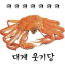 보리네 이미지