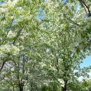 정부청사 입구(샘머리) 이미지