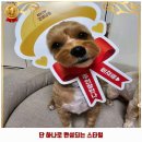 견생냥품 김해장유점 네이버블로그