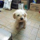 이산면보건지소 이미지