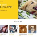 마이펫스토어