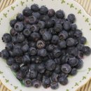 블루베리 이미지