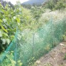 삼생1리 이미지