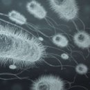 밝은약국 이미지