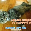 이화해변아파트 이미지