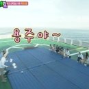 정용주 카카오 검색결과