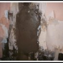 건승약국 이미지