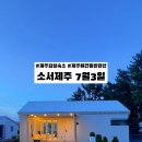 소서제주 7월4일 | 제주애월 감성숙소 소서제주 7월3일 – 반려견 동반 가능한 독채 펜션