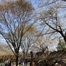 입곡군립공원(주차장옆) 이미지