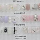 네일도래쉬도