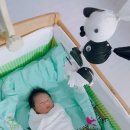 모이몰른광주에덴점 이미지