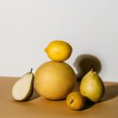 밸런스