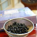 방축농장 | 전남 담양 블루베리 공동구매 후기랄까...요^^?