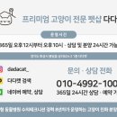 다다캣 네이버블로그