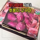 택지 D.C마트 | 롯데마트 제타 호풍미고구마 쪄 먹어본 후 솔직 후기 (f.신선야채)