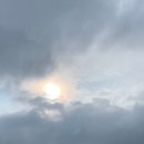 얼레리꼴레리