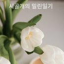 치악산한의원 이미지