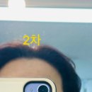 타스헤어 티스토리