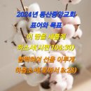 2024년 4월 3일(수) 수요예배 전도서 10장 12~20절 우매자와 지혜자의 차이 이미지